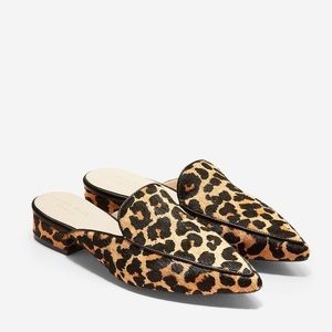cole haan piper mule leopard print